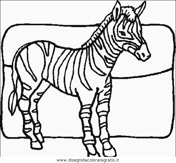 animali/zebre/zebra_26.JPG