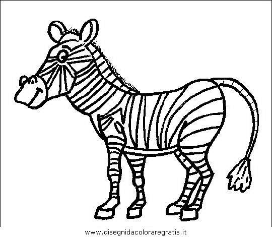 animali/zebre/zebra_28.JPG