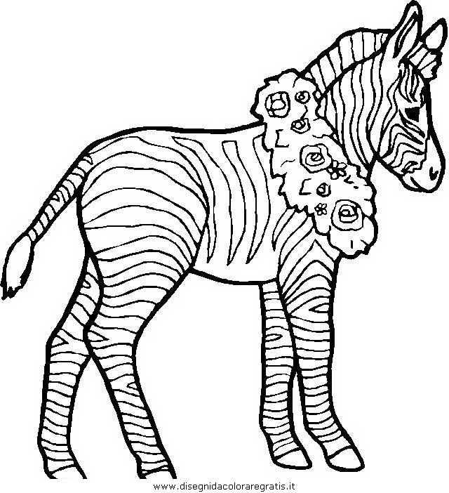 animali/zebre/zebra_30.JPG