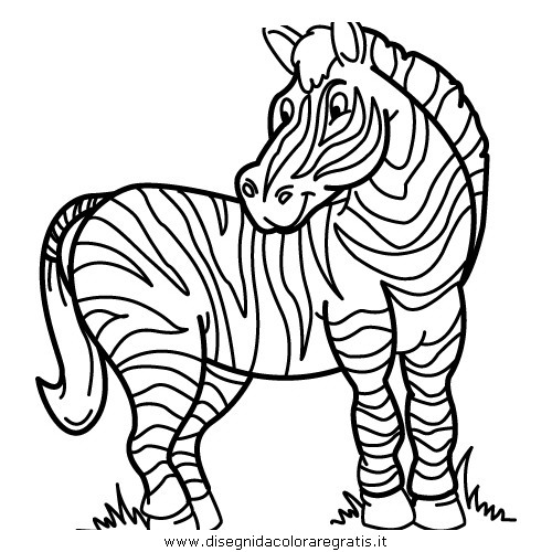 animali/zebre/zebra_36.JPG