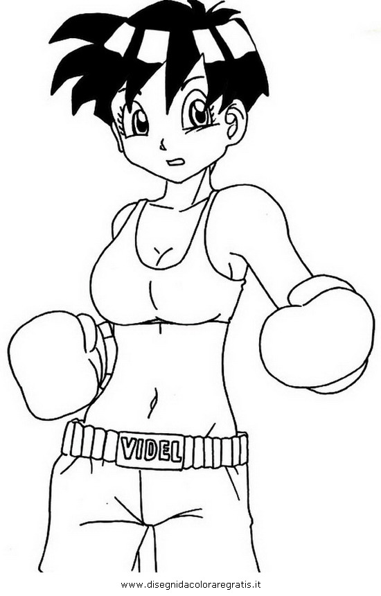 cartoni/dragonball/Dragon_Ball_videl-4.JPG