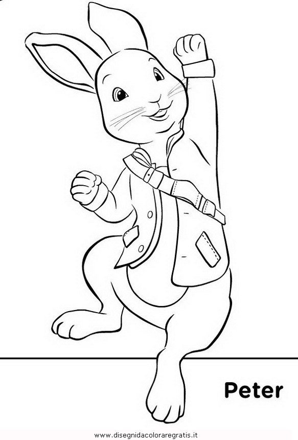 cartoni/peter_rabbit/peter_coniglio_rabbit_01.JPG