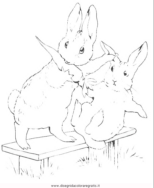 cartoni/peter_rabbit/peter_coniglio_rabbit_16.JPG