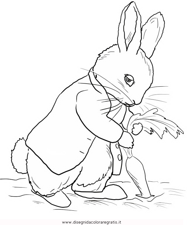 cartoni/peter_rabbit/peter_coniglio_rabbit_17.JPG