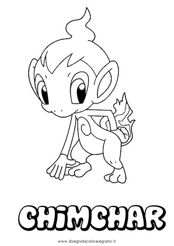 cartoni/pokemon/pokemon_chimchar.JPG