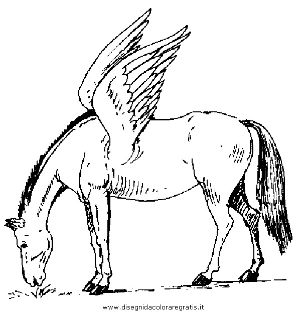 fantasia/pegaso/pegaso_cavallo_02.JPG