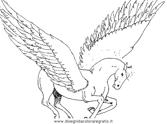 fantasia/pegaso/pegaso_cavallo_06.JPG