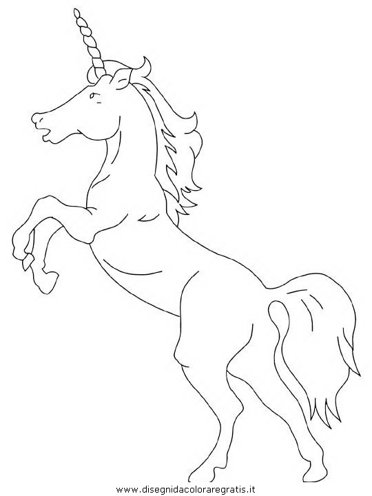 fantasia/unicorni/unicorno_000.JPG