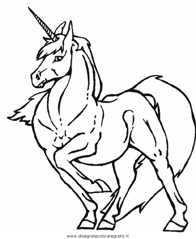 fantasia/unicorni/unicorno_14.JPG