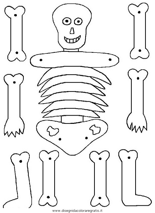 giochi/costruiscioggetti/SKELETRINO.JPG