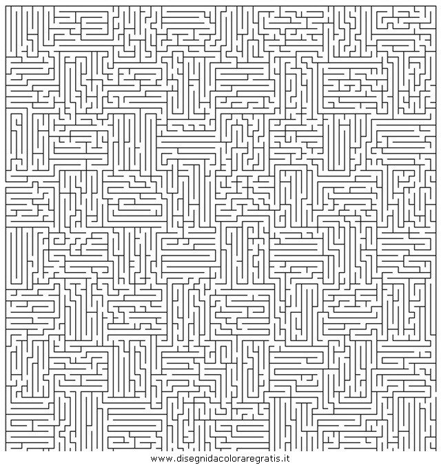 giochi/labirinti/labirinto_professionale_02.JPG