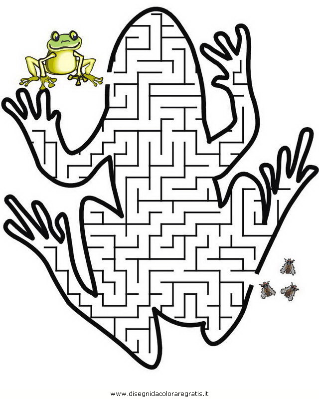 giochi/labirinti_strani/labirinti_strani_30.JPG