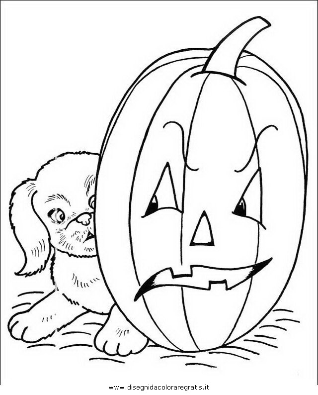 halloween/zucche/halloween_zucche_22.JPG