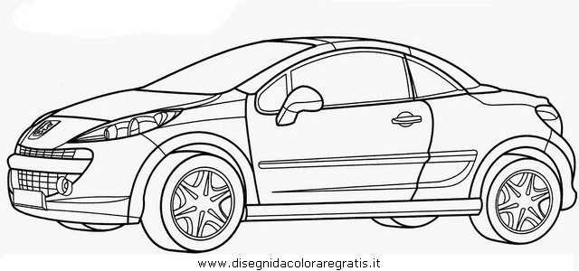 mezzi_trasporto/automobili_di_serie/peugeot_206.JPG