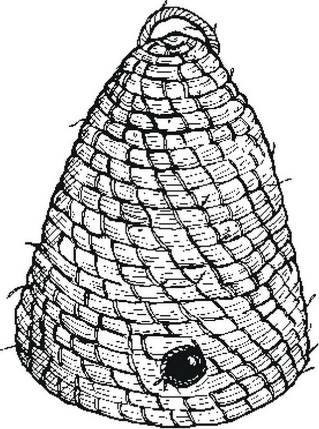 misti/giardino/beehive.JPG