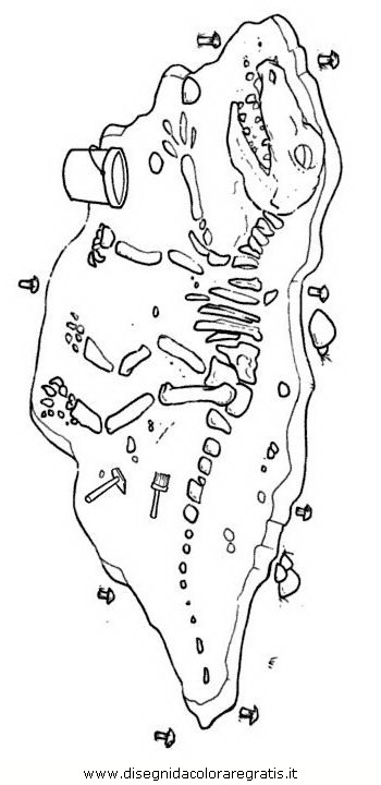 misti/richiesti/fossile_dinosauro.JPG