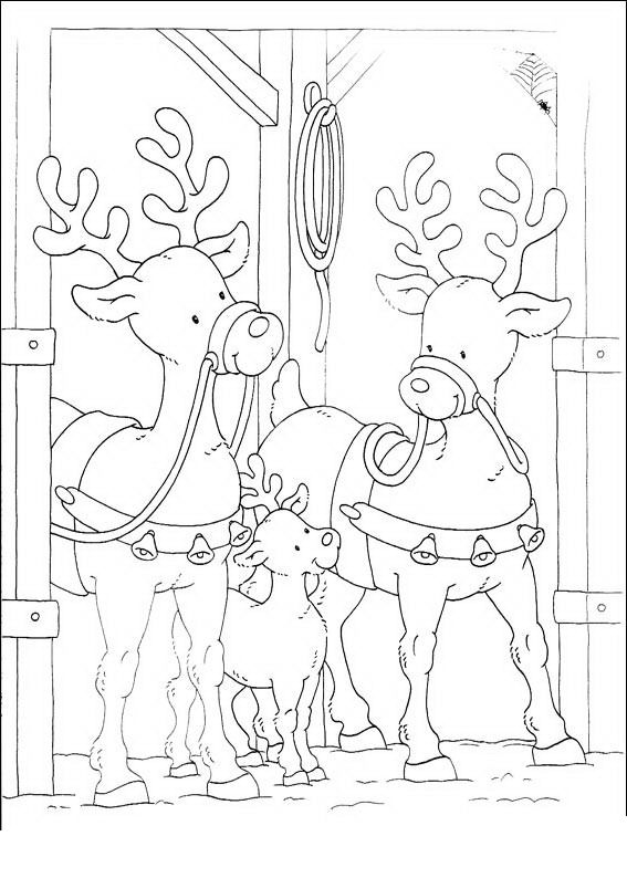 natale/renne/natale_renna_renne_06.JPG