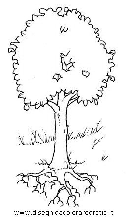 natura/alberi/piante_alberi_02.JPG