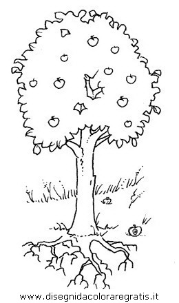 natura/alberi/piante_alberi_03.JPG