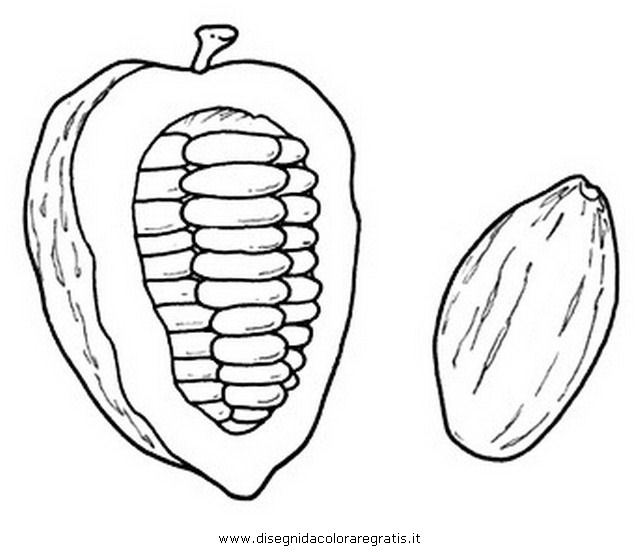 natura/alberi_speciali/cacao_0.JPG