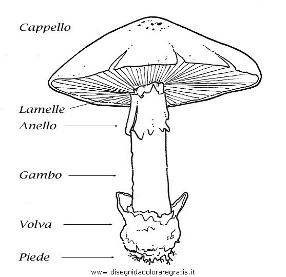 natura/autunno/autunno_09.JPG