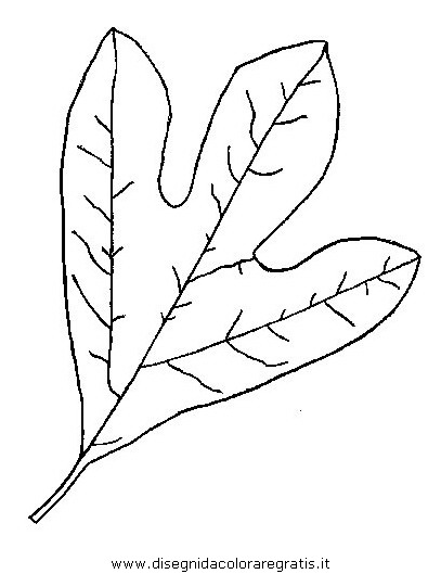 natura/autunno/natura_autunno_foglie_46.JPG