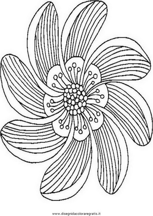 natura/fiori/fiore_fiori_204.JPG