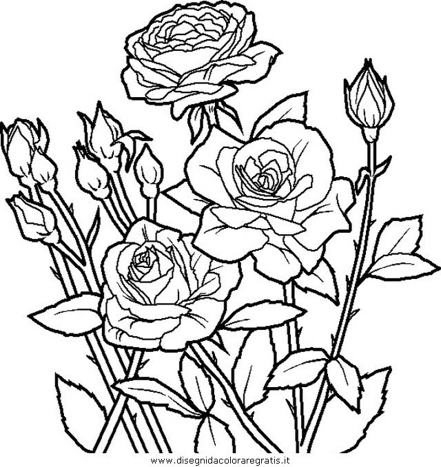 natura/fiori/fiore_fiori_206.JPG