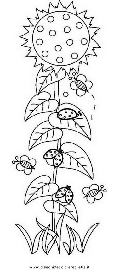 natura/fiori/fiore_fiori_215.JPG
