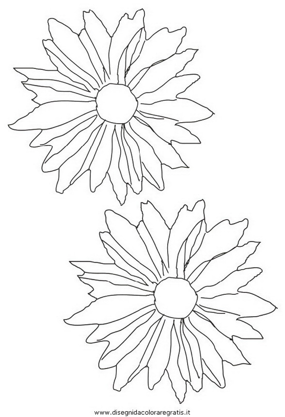 natura/fiori/fiore_fiori_226.JPG