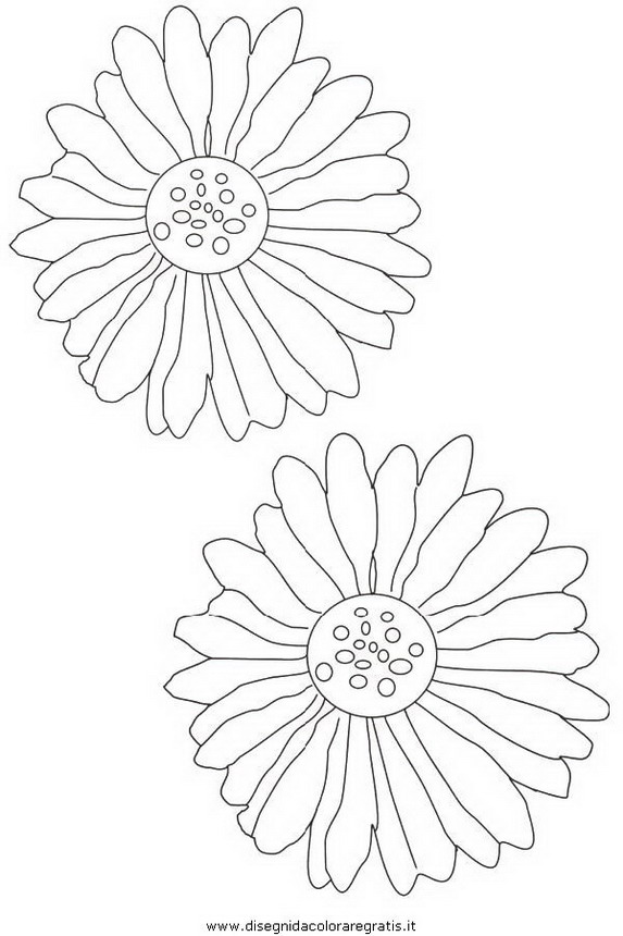 natura/fiori/fiore_fiori_227.JPG