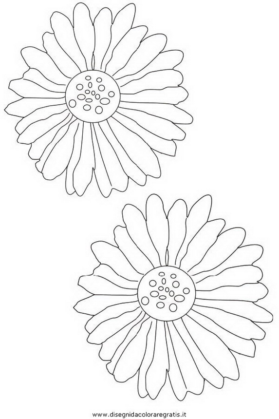 natura/fiori/fiore_fiori_227.JPG