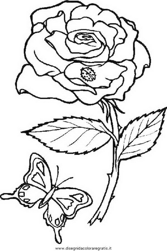 natura/fiori/fiore_fiori_243.JPG