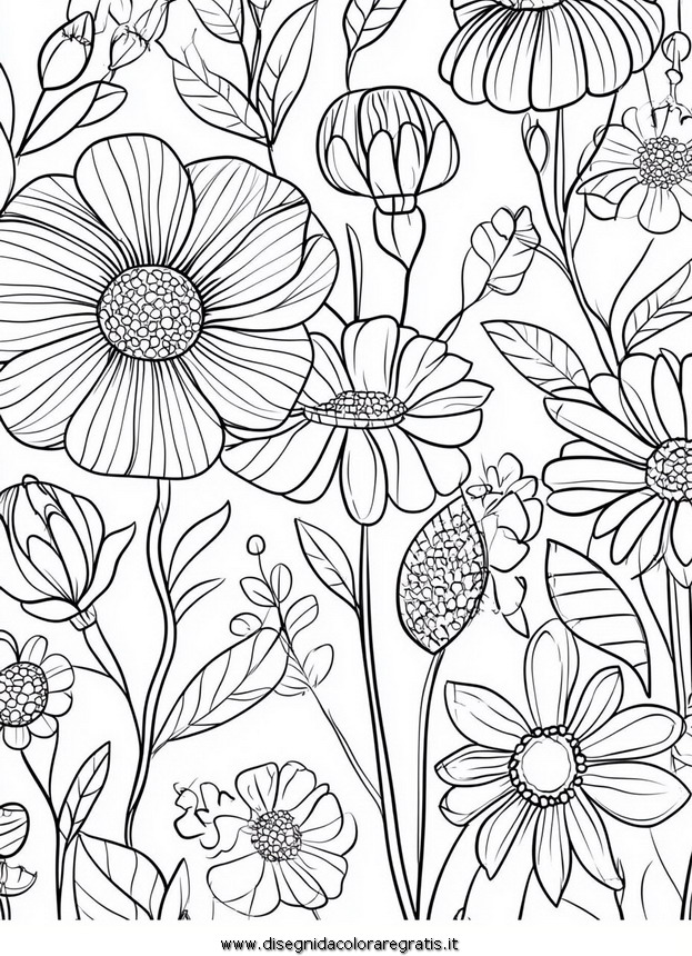 natura/fiori/fiori_46.JPG