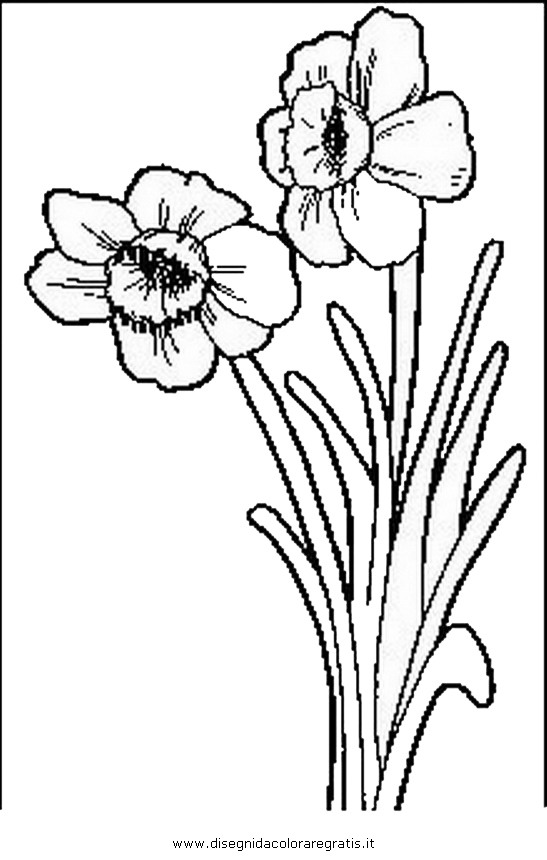 natura/fiori/fiori_fiore_008.JPG