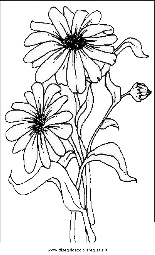 natura/fiori/fiori_fiore_016.JPG