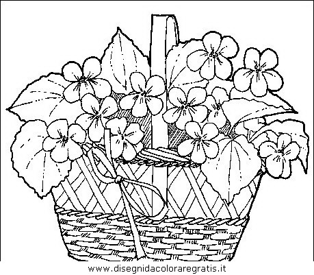 natura/fiori/fiori_fiore_036.JPG