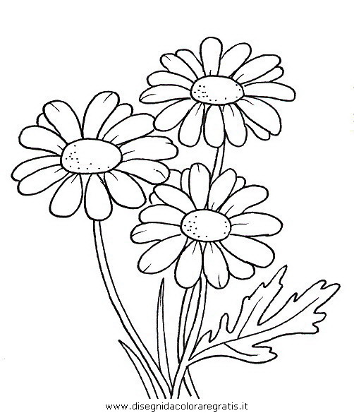 natura/fiori/fiori_fiore_065.JPG