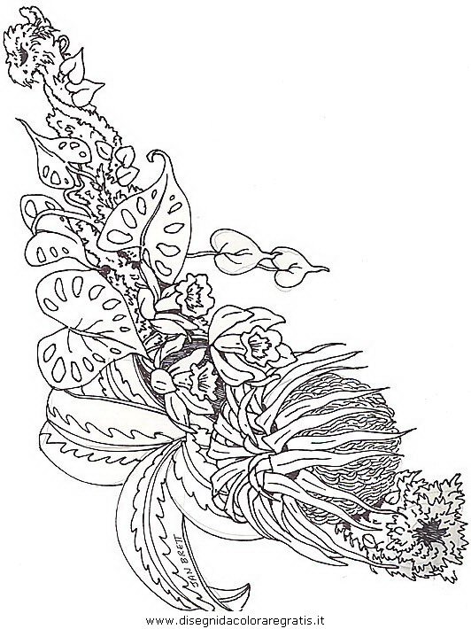 natura/fiori/fiori_fiore_090.JPG