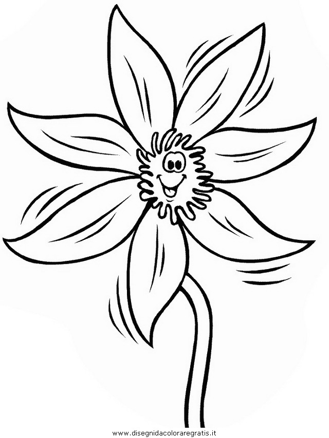 natura/fiori/fiori_fiore_113.JPG