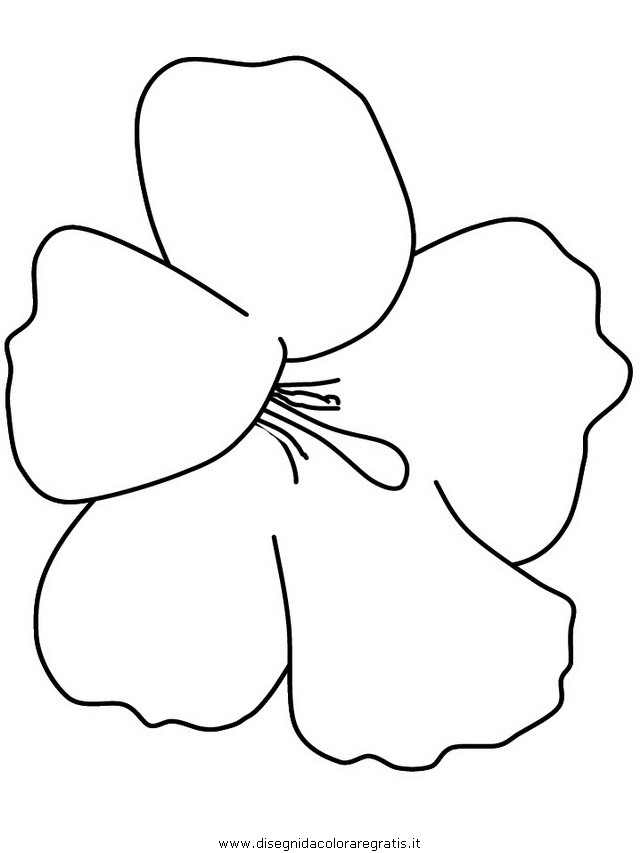 natura/fiori/fiori_fiore_154.JPG