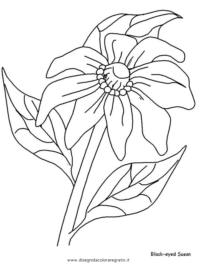 natura/fiori/fiori_fiore_171.JPG