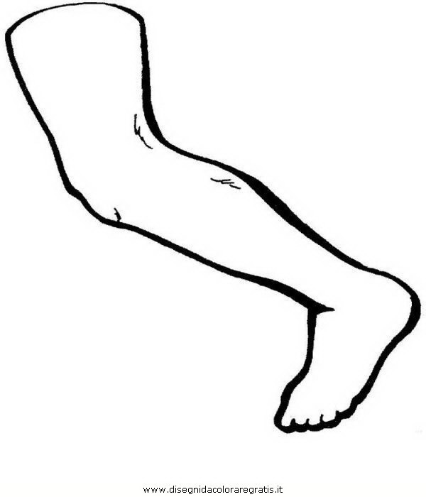 persone/corpo_umano/corpo_umano_02.JPG