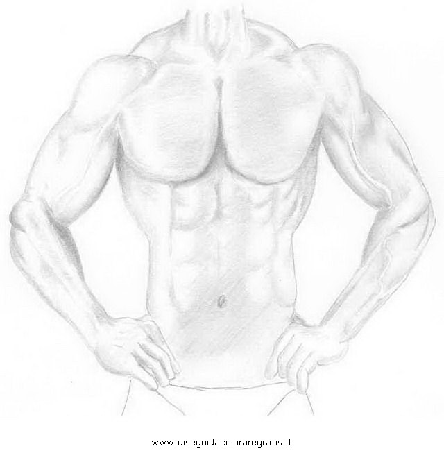 persone/corpo_umano/muscoli_26.JPG