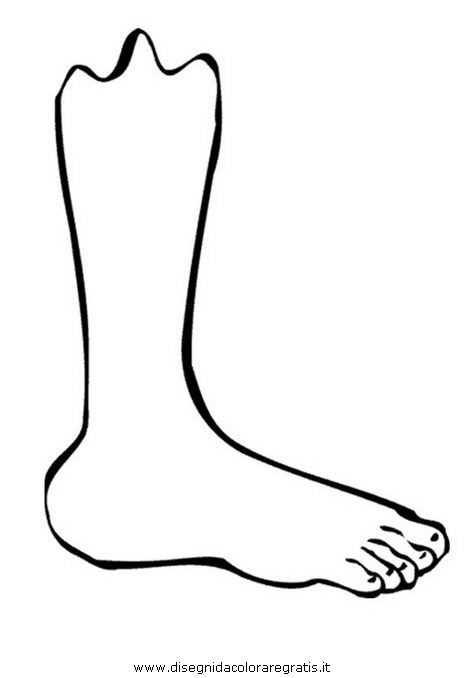 persone/corpo_umano/piede_01.JPG