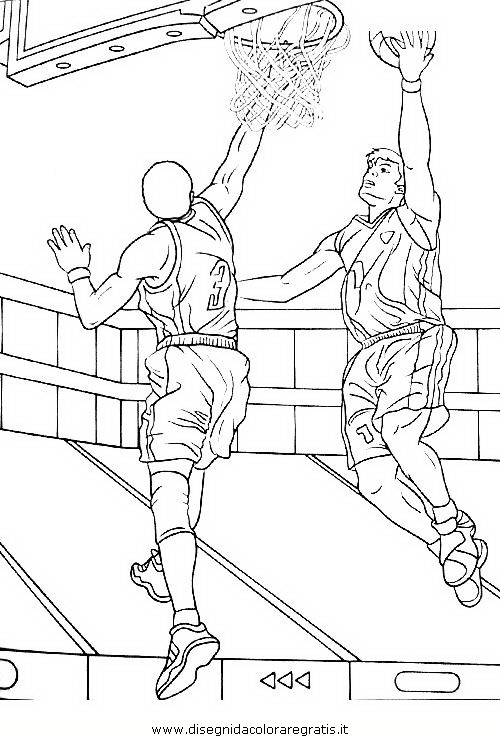 sport/basket/basket_101.jpg