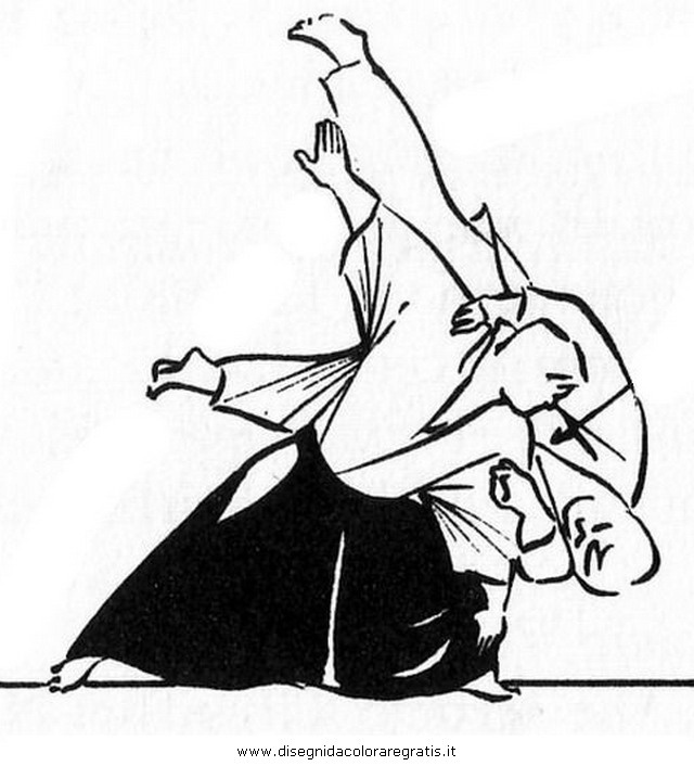 sport/judo/aikido_1.JPG
