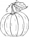 alimenti/frutta/pumpkin_anguria.JPG