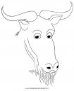 animali/animalimisti/gnu_02.JPG