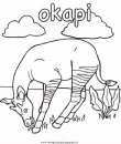 animali/animalimisti/okapi-2.JPG